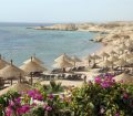 A sea of straw beach umbrellas on a beautiful beach in Sharm el Sheikh, Egypt