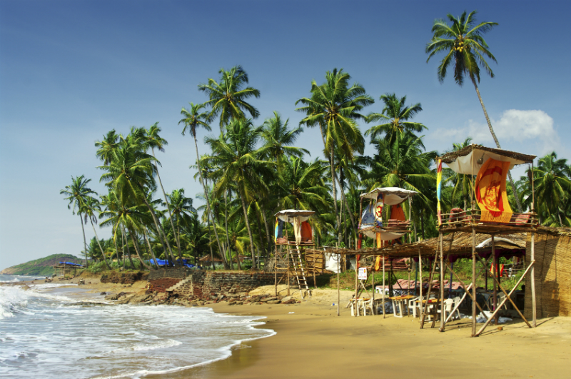 Beach and palm trees in Goa