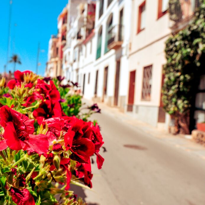 Flowers on a spanish street