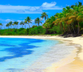 Beach in Mauritius