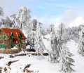 Snowy scene in Cyprus