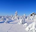 Saariselka, Finland