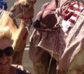 Mr and Mrs Fothergill camel racing in Doha Qatar