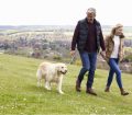 Dog walkers
