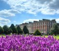 hampton court palace grounds in summer time