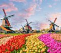 dutch windmills zaanstad village