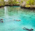 Family snorkelling at spring in Crystal River Florida USA